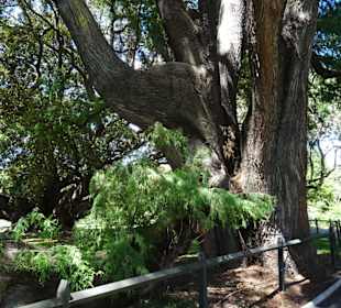 Stadtrundgang Sydney