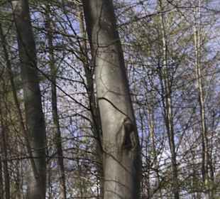 Wanderweg Hochgehkämpft