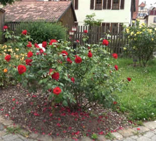 Dorfbrunnen Kilchberg