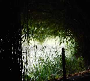 Botanischer Garten