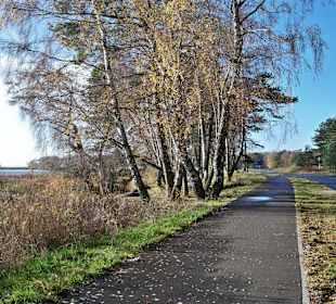 Fahrradweg am Kamper See
