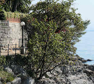 Spaziergang entlang der Promenade bei Opatija