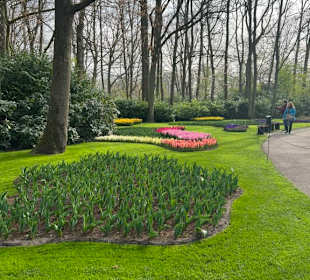 Keukenhof 