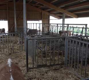 Erlebnisbauernhof und Wildgehege