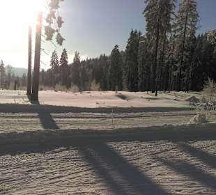 Langlauf in traumhafter Umgebung