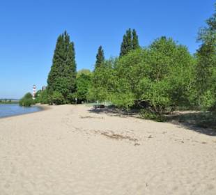 Strandspaziergang am Rissener Ufer