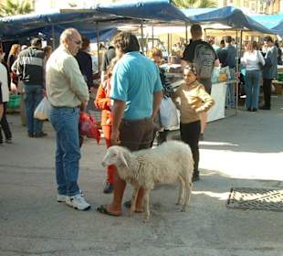 Der Markt