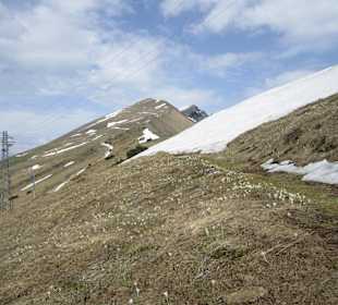 Wanderung auf den Monte Baldo