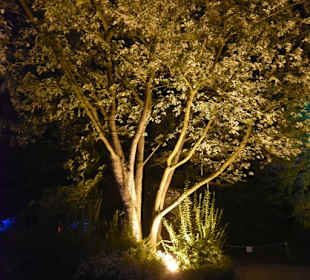 Herbstleuchten Maximilianpark in Hamm