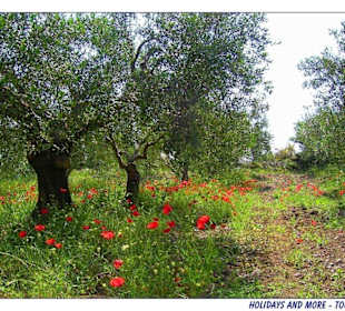 Impressionen von der Chalkidiki
