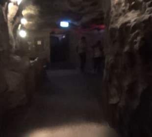 Deep in Africa - Black Mamba