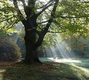 Herbstspaziergang durch den Schlosspark Lütetsburg