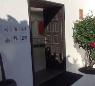 Fundacion Cesar Manrique