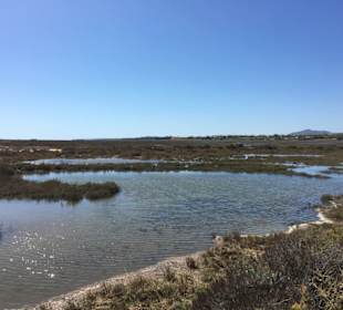 Lagunenlandschaft Tavira