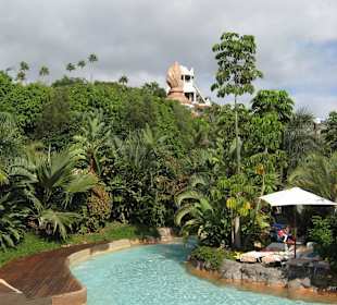 Общий вид парка