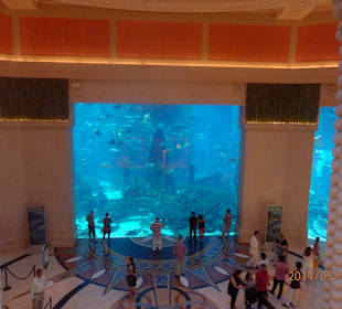 Lost Chambers Aquarium