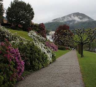 Park Villa Melzi