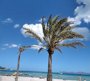 Strand Alcudia