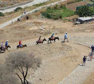Lindos-Taxis auf dem Weg zur Akropolis