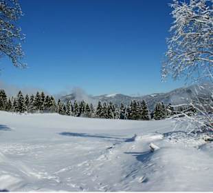 Winter im Schwarzwald