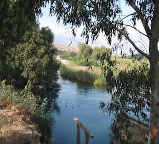 Turtle River