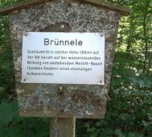Sternberg Brünnele