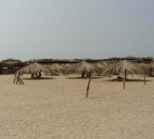 Auf der Insel Mahmya