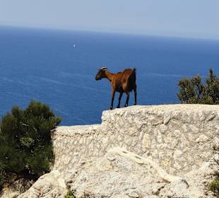 Cap de Formentor