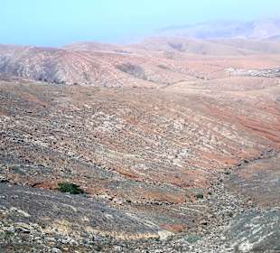 Inselrundfahrt Tagesausflug