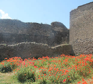 Das antike Pompeji