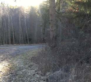 Ochsenweiher Rundweg