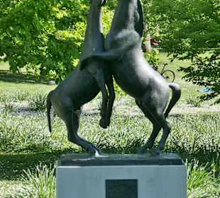 Unterwegs im Kurpark von Wiesbaden