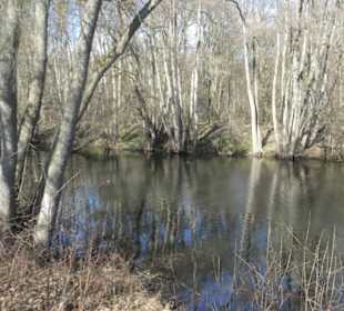 Bei einem Spaziergang am Sennfelder Seenkranz