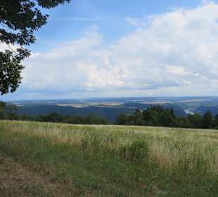 Traumschleife 5 Seen Blick