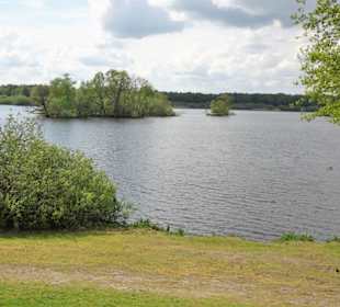 Impressionen von der Thülsfelder Talsperre