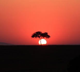 Toller Sonnenaufgang