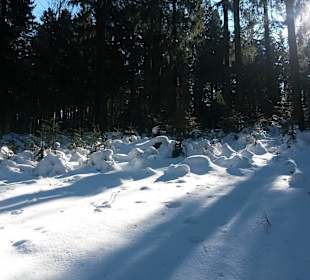 Spaziergang im Schnee