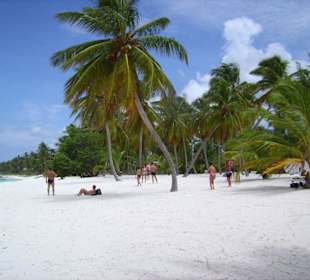 Strand auf Saona