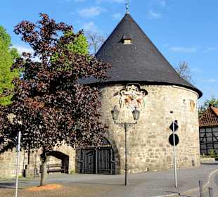 Die Rotunde als militärische Architektur