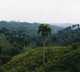 Ausflug-Samana