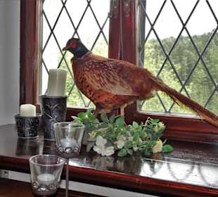 Im Jagdzimmer der Burg Rabenstein