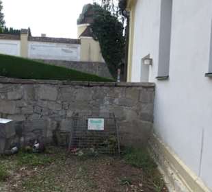Severinsfriedhof