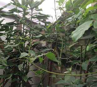 Wieder ein tolles Versteck