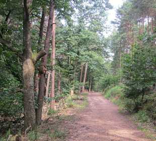 Auf dem Weg zur Landauer Hütte