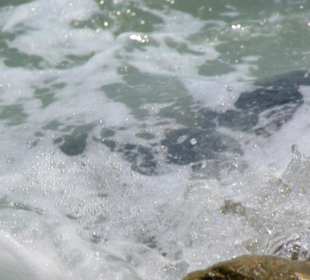 Strand von Bibione 06-2010