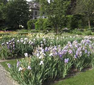 Belvoirpark