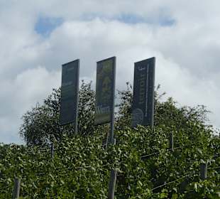 Terroir f Thüngersheim - Wein und Mythologie