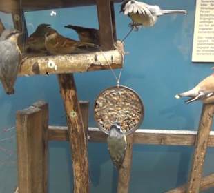Naturkundemuseum
