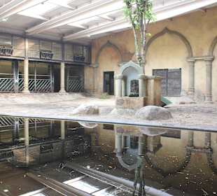 Elefantengehege Innen