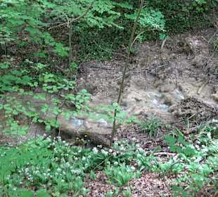 Breitenbachquelle